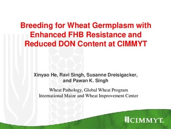 Breeding for wheat germplasm with enhanced FHB resistance and reduced DON content at CIMMYT