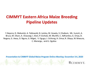 CIMMYT Eastern Africa maize breeding pipeline updates