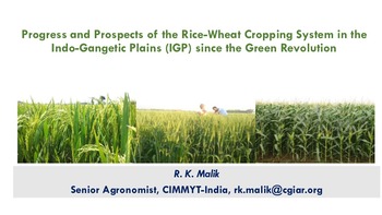 Progress and prospects of the rice-wheat cropping system in the Indo-Gangetic Plains (IGP) since the Green Revolution