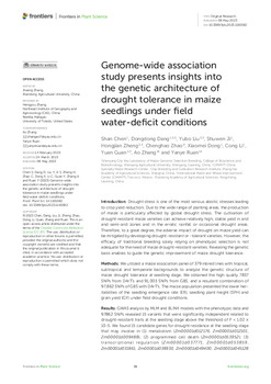 Genome-wide association study presents insights into the genetic architecture of drought tolerance in maize seedlings under field water-deficit conditions