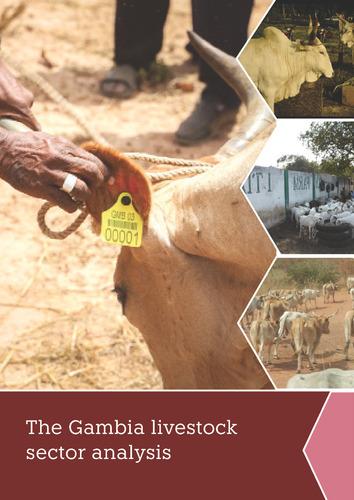 The Gambia livestock sector analysis