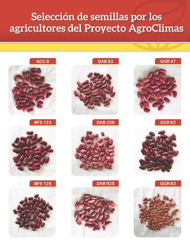 Selección de semillas por los agricultores del Proyecto AgroClimas