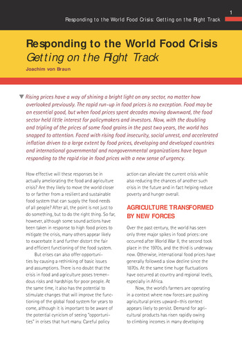 Responding to the world food crisis-- Getting on the Right Track: IFPRI 2007-2008 Annual Report Essay