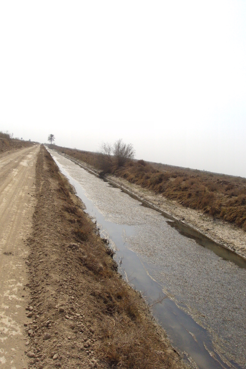 Weeds restrict the flow of water