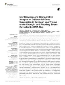 Identification and Comparative Analysis of Differential Gene Expression in Soybean Leaf Tissue under Drought and Flooding Stress Revealed by RNA-Seq