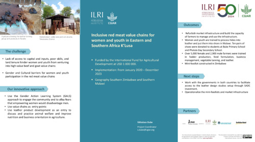 Inclusive red meat value chains for women and youth in Eastern and Southern Africa K’Lusa