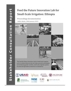 Feed the future innovation lab for small-scale irrigation, Ethiopia: Proceedings documentation, Addis Ababa, 20 January 2014