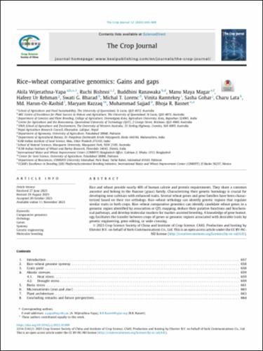 Rice–wheat comparative genomics: Gains and gaps