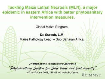 Tackling Maize Lethal Necrosis (MLN), a major epidemic in eastern Africa with better phytosanitary intervention measures.