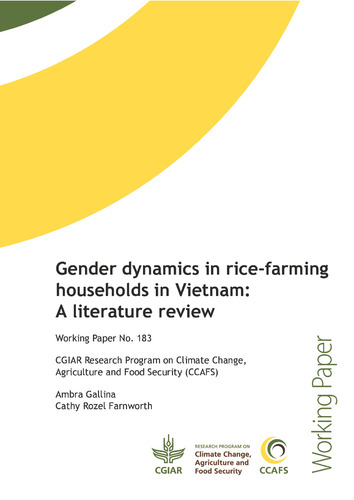 Gender dynamics in rice-farming households in Vietnam: A literature review