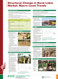 Structural Change in Rural Labor Market: Macro Level Trends