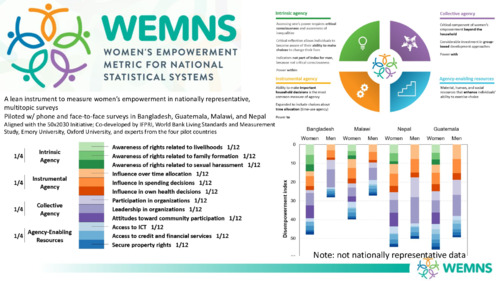 Women's Empowement Metric for National Statistical Systems (WEMNS): A lean instrument to measure women’s empowerment in nationally representative, multitopic surveys