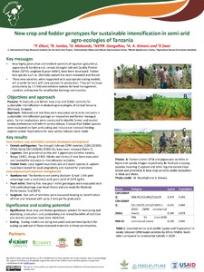 New crop and fodder genotypes for sustainable intensification in semi-arid agro-ecologies of Tanzania