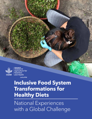 Inclusive food system transformations for healthy diets: National experiences with a global challenge