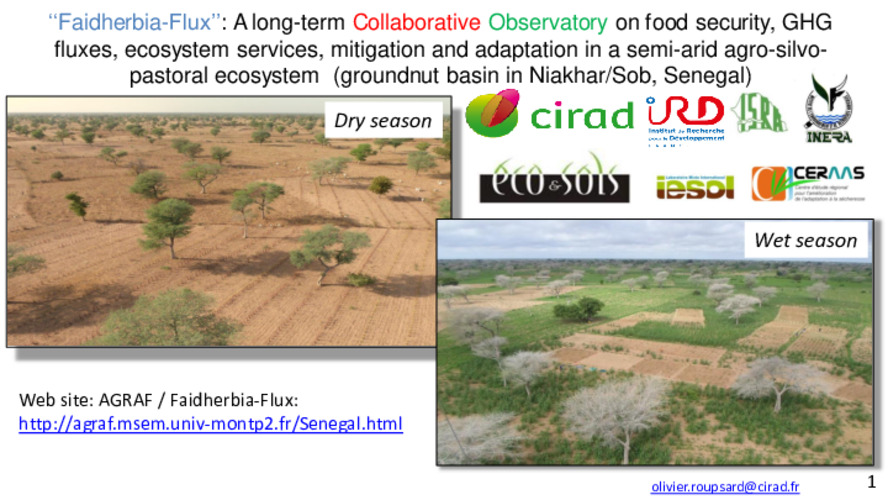 ‘‘Faidherbia-Flux’’: A long-term Collaborative Observatory on food security, GHG fluxes, ecosystem services, mitigation and adaptation in a semi-arid agro-silvo-pastoral ecosystem (groundnut basin in Niakhar/Sob, Senegal)