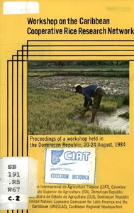 Rice in Cuba | CGIAR Gender Equality and Inclusion Accelerator