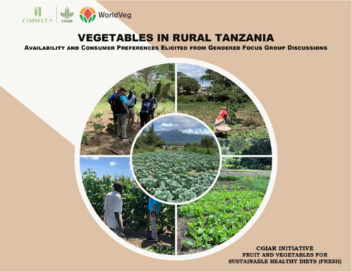 Vegetables in rural Tanzania: Availability and consumer preferences elicited from gendered focus group discussions