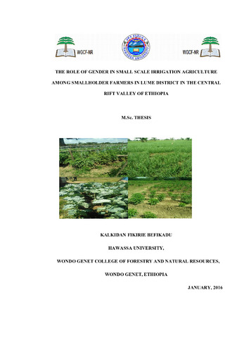 The role of gender in small scale irrigation agriculture among smallholder farmers in Lume District in the Central Rift Valley of Ethiopia