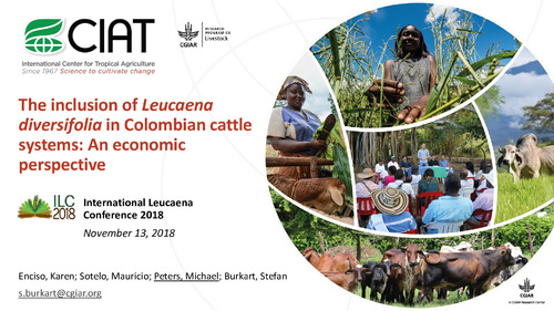 The inclusion of Leucaena deversifolia in Colombian cattle systems: An economic perpective