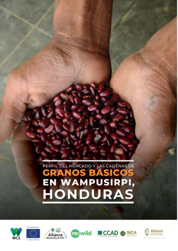 Perfil del mercado y las cadenas de granos básicos en Wampusirpi, Honduras