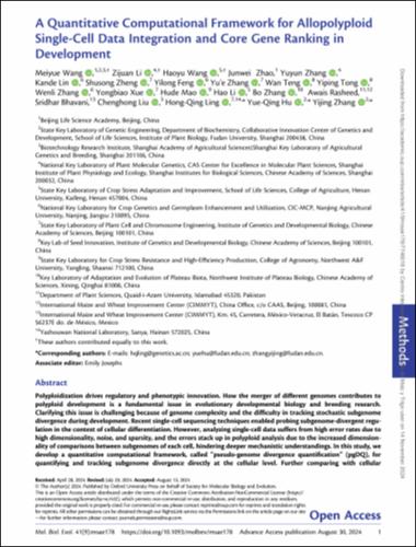 A quantitative computational framework for allopolyploid single-cell data integration and core gene ranking in development