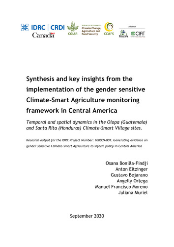 Synthesis and key insights from the implementation of the gender sensitive Climate-Smart Agriculture monitoring framework in Central America: temporal and spatial dynamics in the Olopa (Guatemala) and Santa Rita (Honduras) Climate Smart Villages