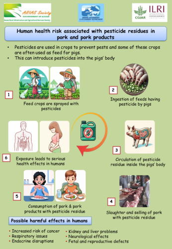 Human health risk associated with pesticide residues in pork and pork products