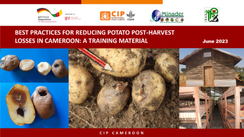 Best practices for reducing potato post-harvest losses in Cameroon: A training material