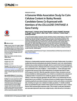 A Genome-Wide Association study for culm cellulose content in barley reveals candidate genes co-expressed with members of the CELLULOSE SYNTHASE A gene family