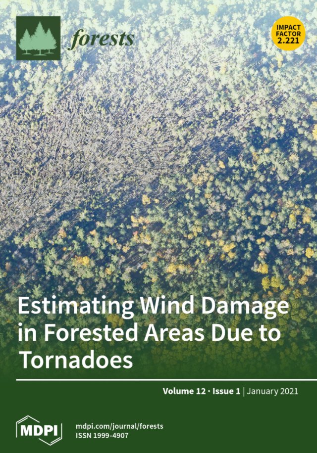 What Is the Evidence Base Linking Gender with Access to Forests and Use of Forest Resources for Food Security in Low- and Middle-Income Countries? A Systematic Evidence Map