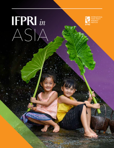 IFPRI in Asia