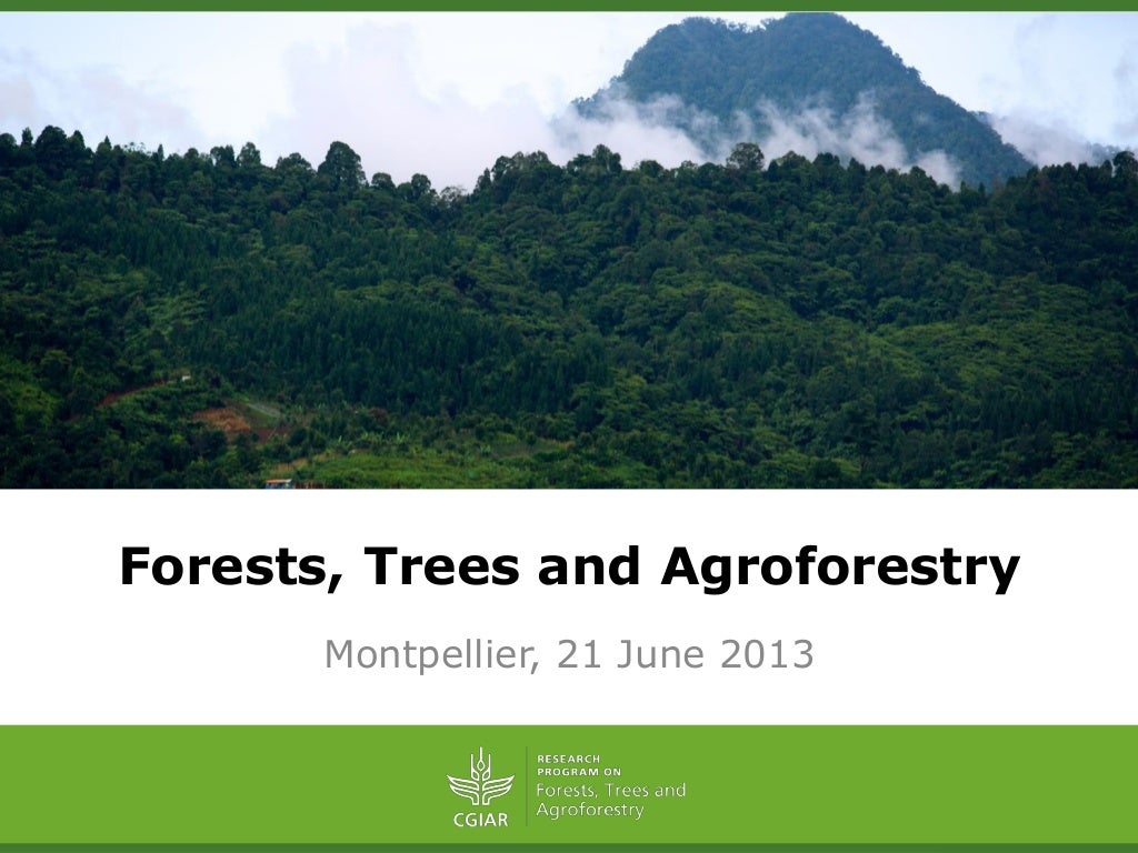 ForestsTreesAgroforestry – Presentation for Discussion with Donors and Partners – June 2013