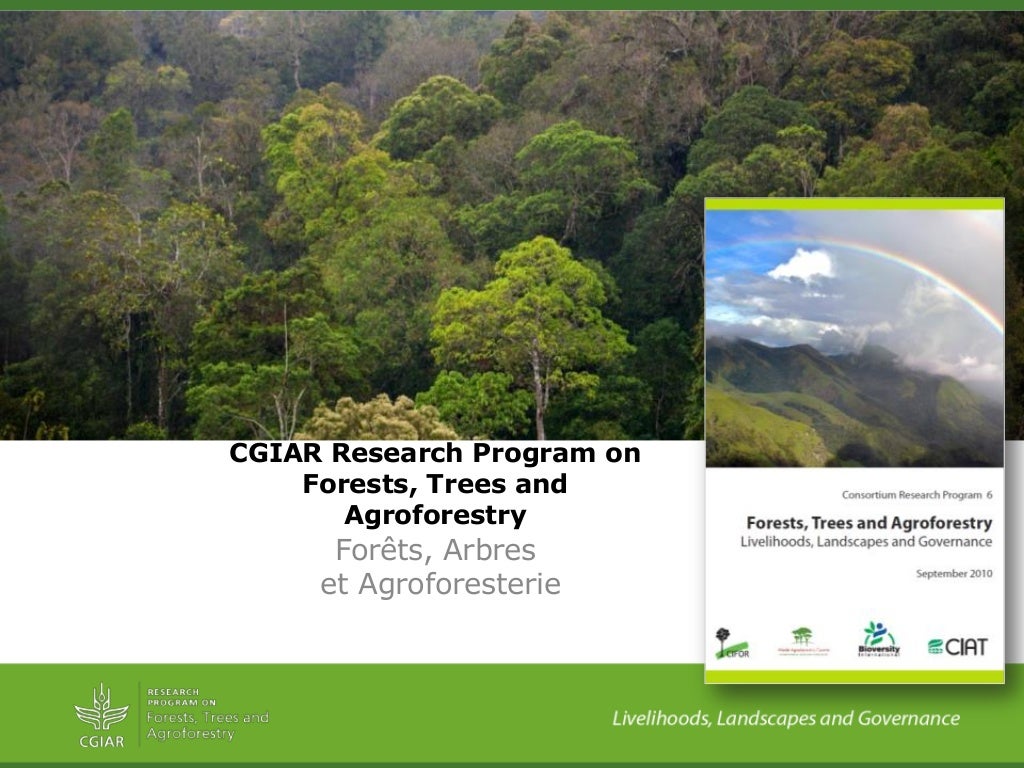 ForestsTreesAgroforestry - Presentation from the 2013 Annual Meeting between CGIAR and the French Research Institutions