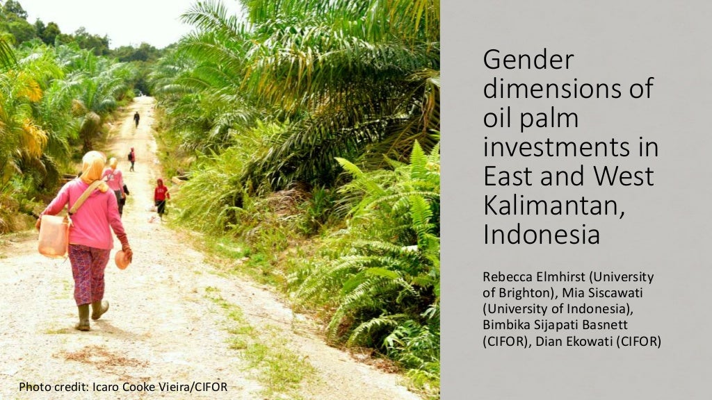 Gender dimensions of oil palm investments in East and West Kalimantan, Indonesia