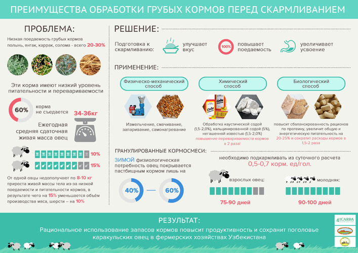 Benefits of processing rough forages in fodder production