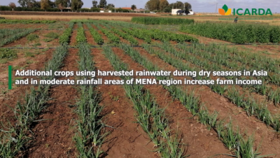 Diversified cropping systems for sustainable intensification of dryland family farming