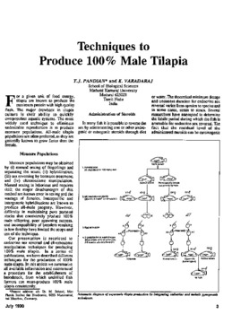 Techniques to produce 100% male tilapia