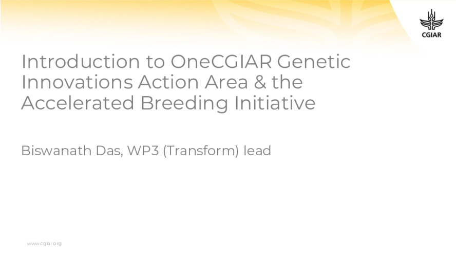 Introduction to OneCGIAR Genetic Innovations Action Area & the Accelerated Breeding Initiative