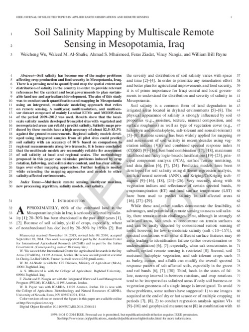 Soil Salinity Mapping by Multiscale Remote Sensing in Mesopotamia, Iraq