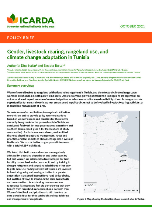 Gender, livestock rearing, rangeland use, and climate change adaptation in Tunisia