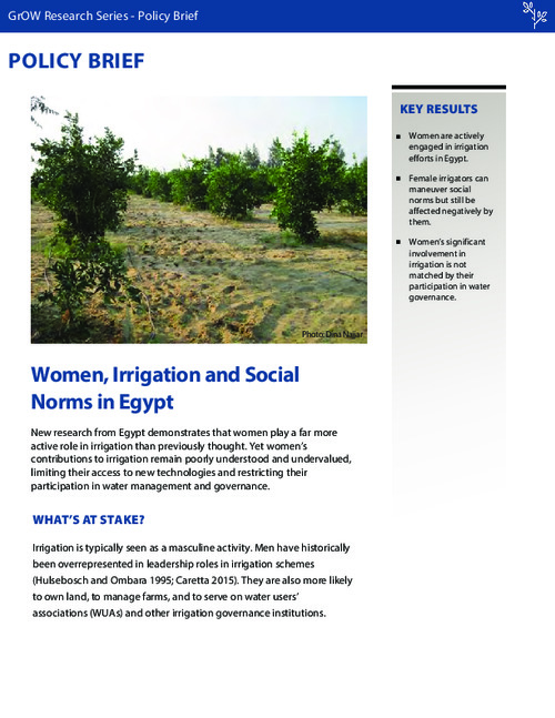 Women, Irrigation and Social Norms in Egypt