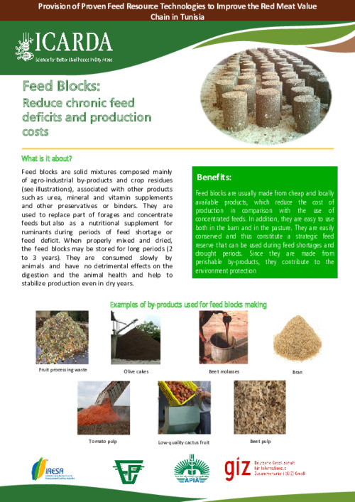Feed Blocks: Reduce chronic feed deficits and production costs