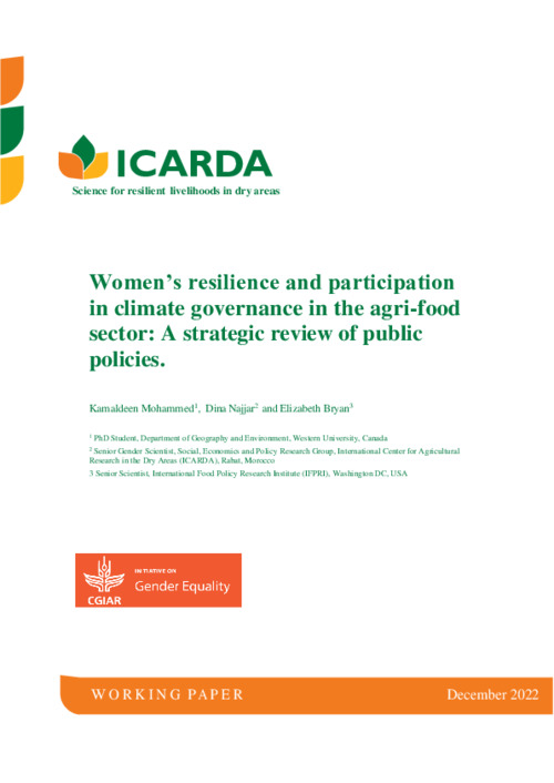 Women’s resilience and participation in climate governance in the agri-food sector: A strategic review of public policies