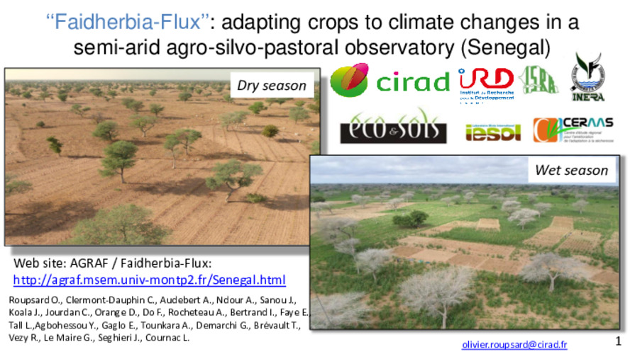 “Faidherbia-Flux”: adapting crops to climate changes in a semi-arid agro-sylvo-pastoral open observatory (Senegal)
