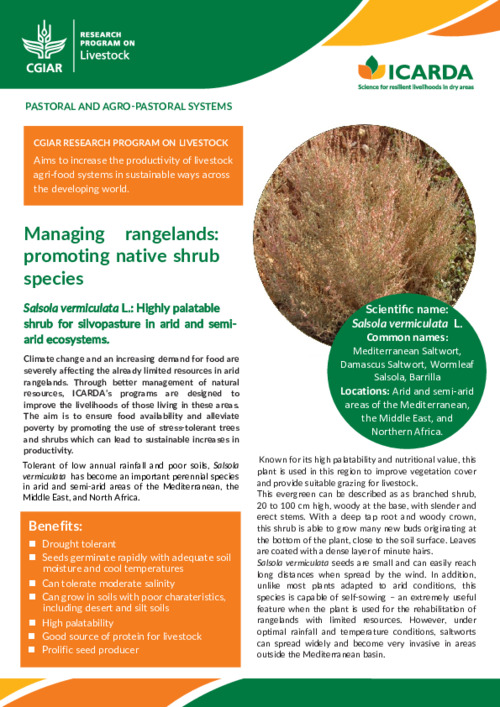 Managing rangelands: promoting native shrub species, Salsola vermiculata L.: Highly palatable shrub for silvopasture in arid and semi-arid ecosystems