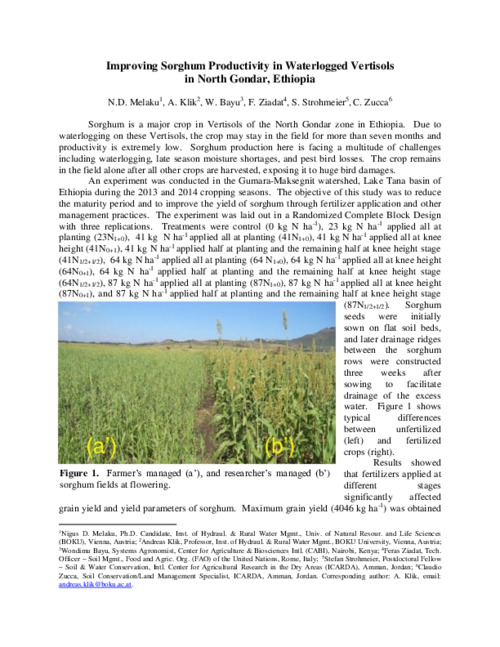 Improving Sorghum Productivity in Waterlogged Vertisols in North Gondar, Ethiopia