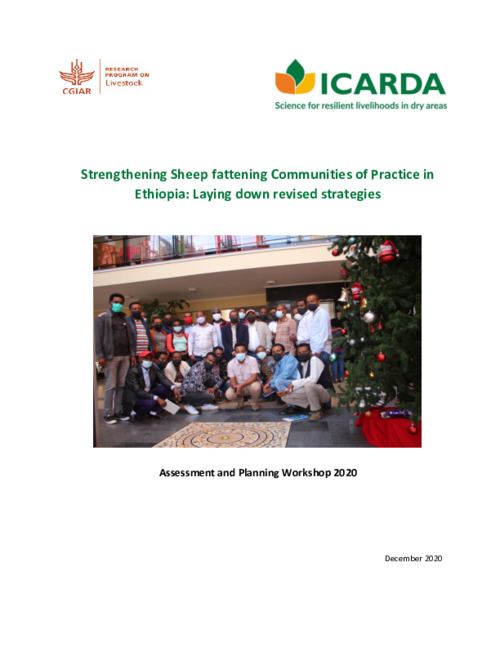 Strengthening Sheep fattening Communities of Practice in Ethiopia: Laying down revised strategies