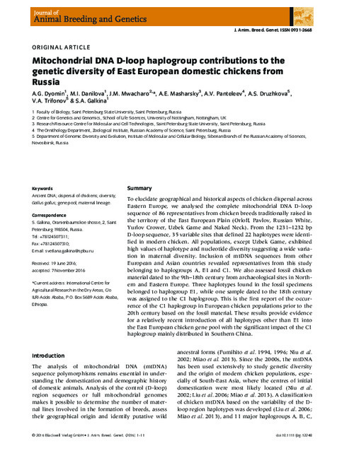 Mitochondrial DNA D-loop haplogroup contributions to the genetic diversity of East European domestic chickens from Russia