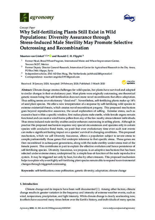 Why Self-fertilizing Plants Still Exist in Wild Populations: Diversity Assurance through Stress-Induced Male Sterility May Promote Selective Outcrossing and Recombination