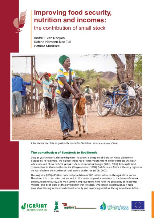 Improving food security, nutrition and incomes: the contribution of small stock